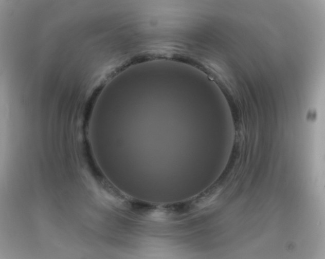 X0000092010504200709061535