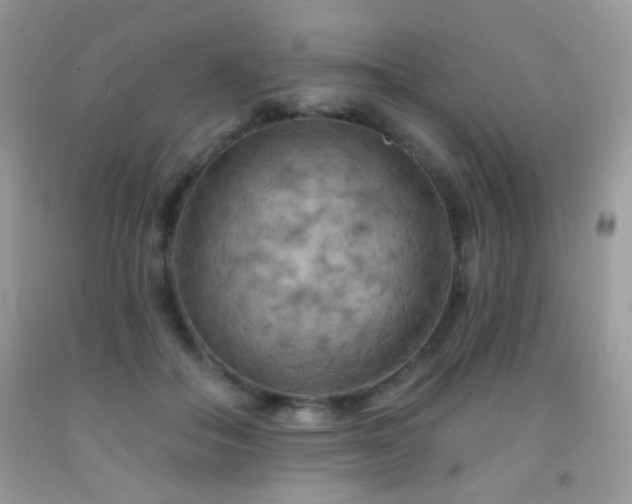 X0000092010506200709061535