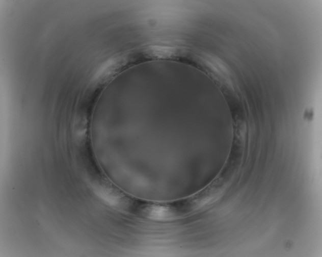 X0000092010507200709061535