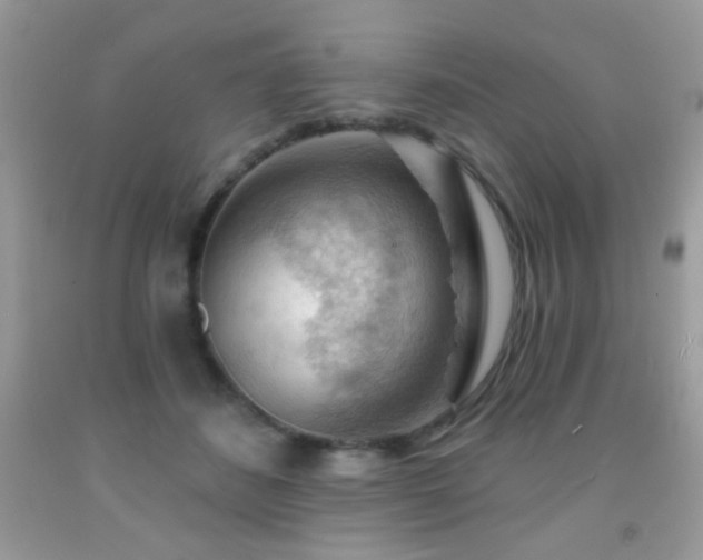 X0000092010508200709061535