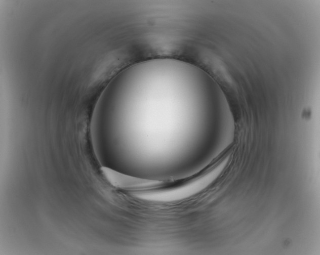 X0000092010509200709061535