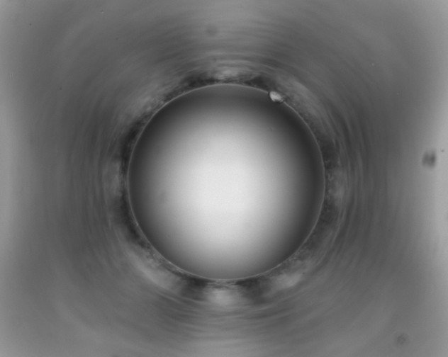 X0000092010510200709061535