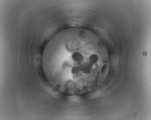 X0000092010511200709061535