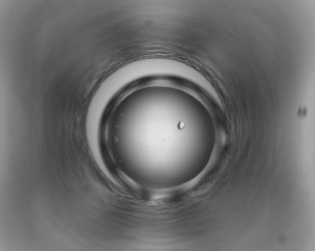 X0000092010512200709061535