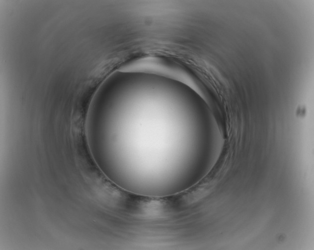 X0000092010513200709061535