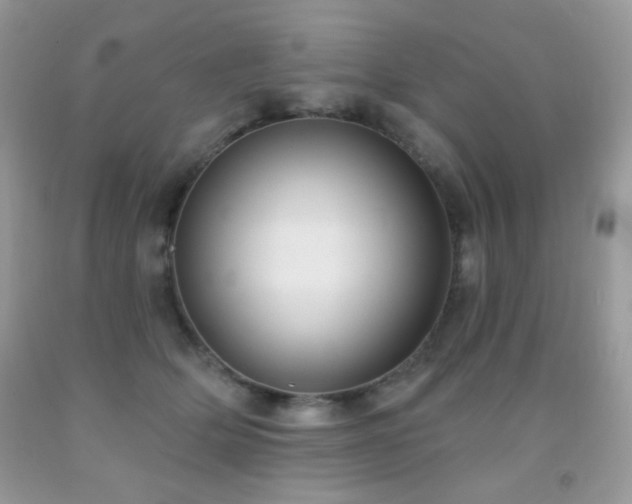 X0000092010514200709061535