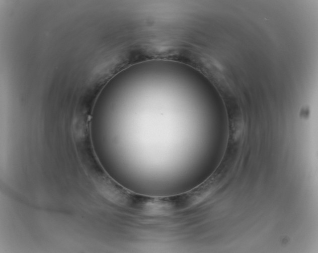 X0000092010515200709061535