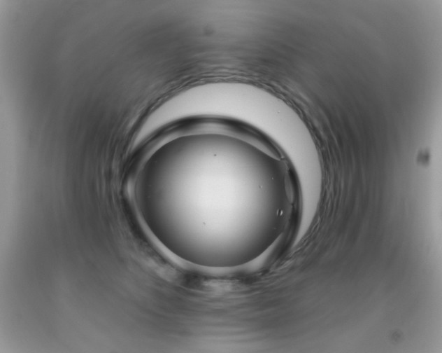 X0000092010516200709061535
