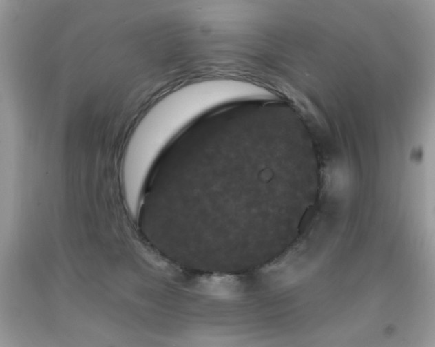 X0000092010517200709061535