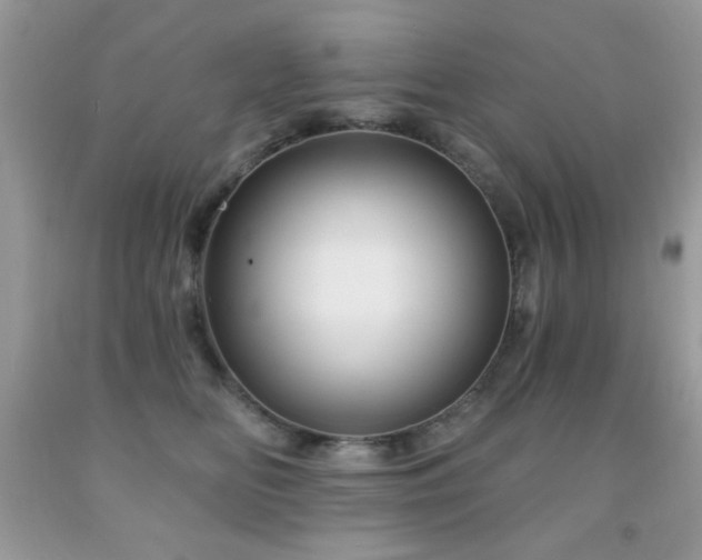 X0000092010518200709061535