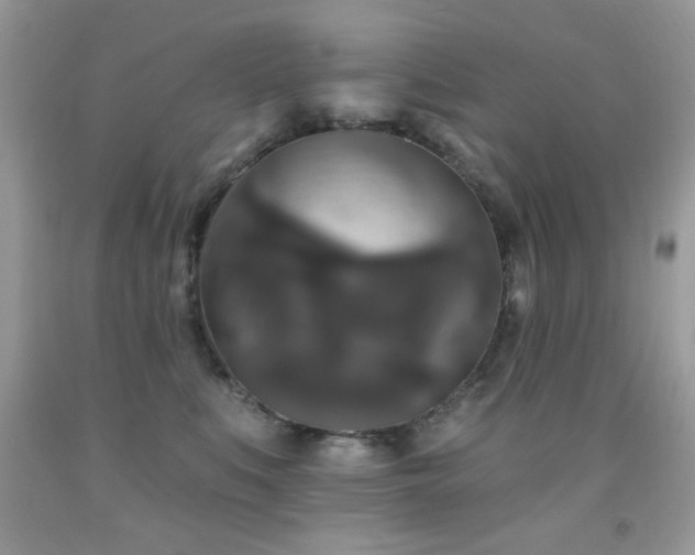 X0000092010519200709061535