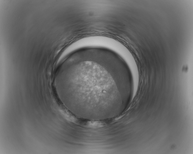 X0000092010520200709061535