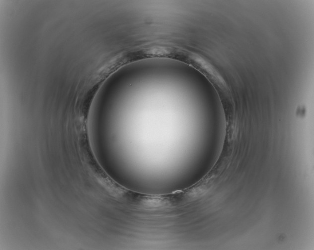 X0000092010521200709061535