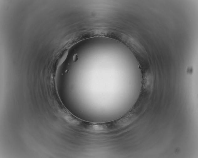 X0000092010522200709061535