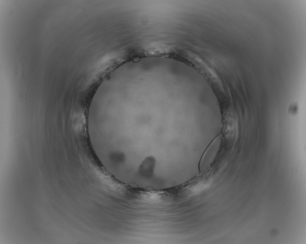 X0000092010523200709061535