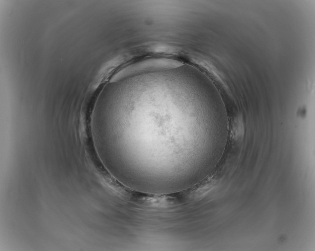 X0000092010524200709061535