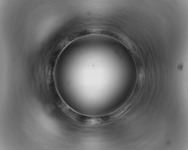 X0000092010525200709061535