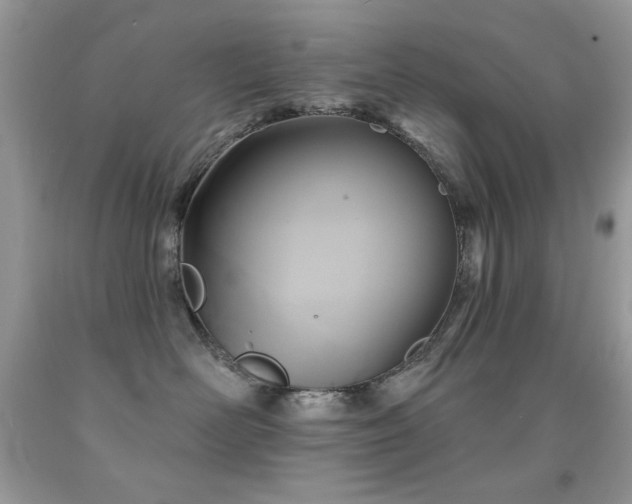 X0000092010526200709061535