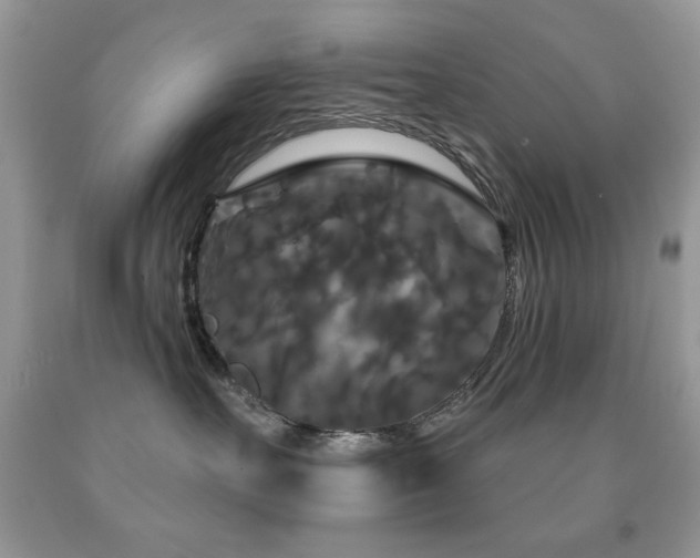 X0000092010527200709061535