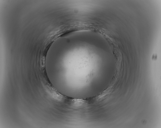 X0000092010528200709061535