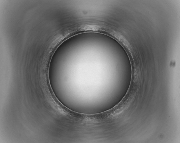 X0000092010529200709061534