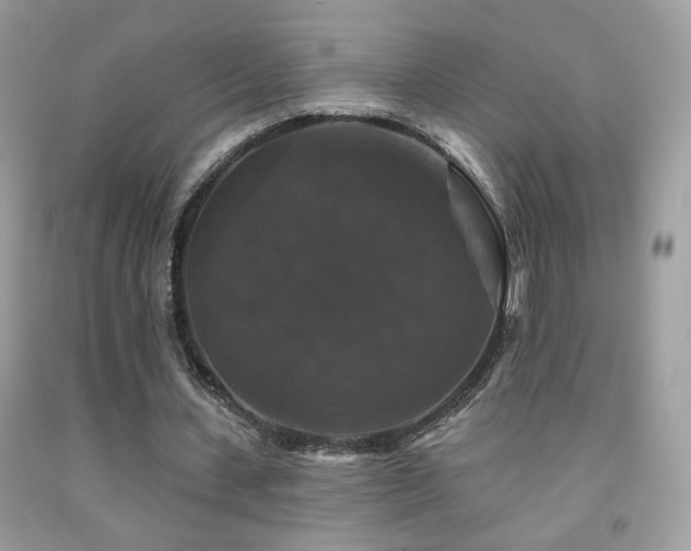 X0000092010531200709061534