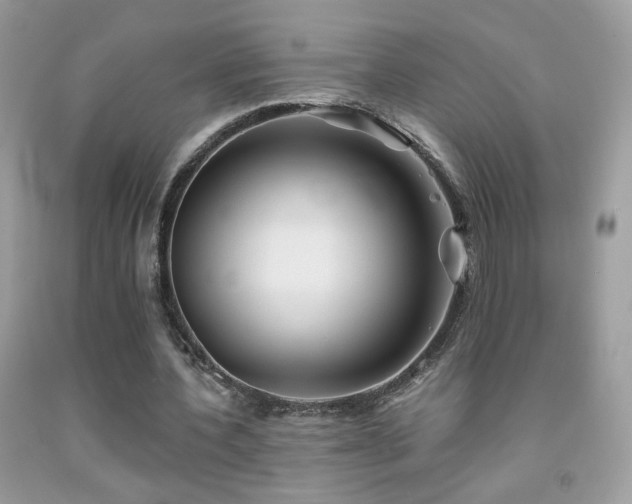 X0000092010532200709061534
