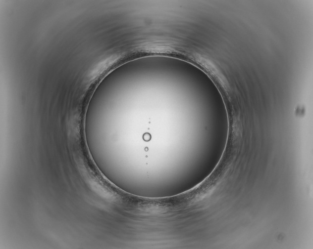 X0000092010533200709061534