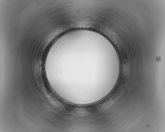 X0000092010534200709061534