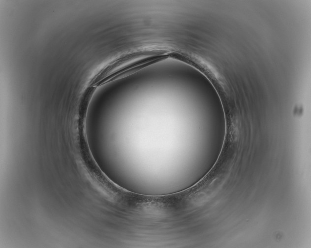 X0000092010535200709061534