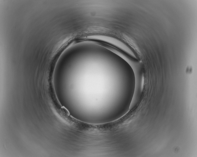 X0000092010538200709061534