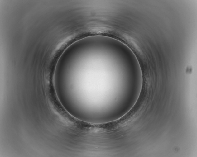 X0000092010539200709061534