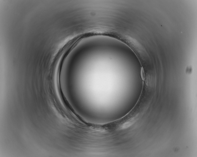 X0000092010540200709061534