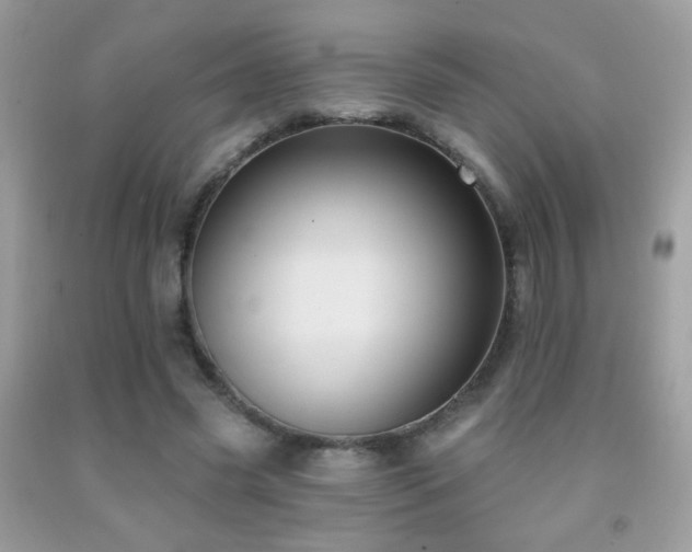 X0000092010541200709061534