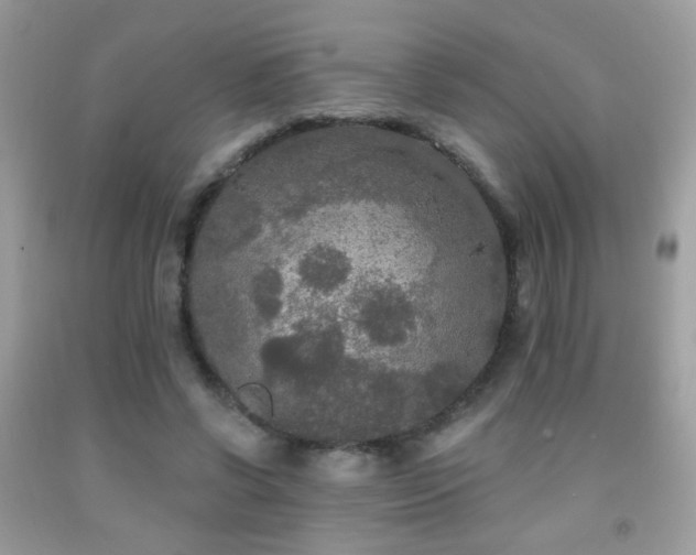 X0000092010542200709061534