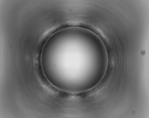 X0000092010543200709061534