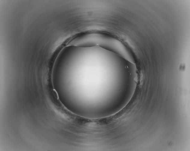X0000092010544200709061534