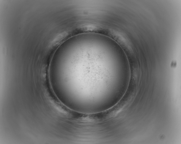 X0000092010545200709061534