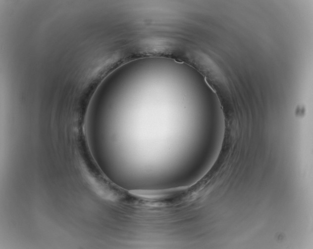 X0000092010546200709061534