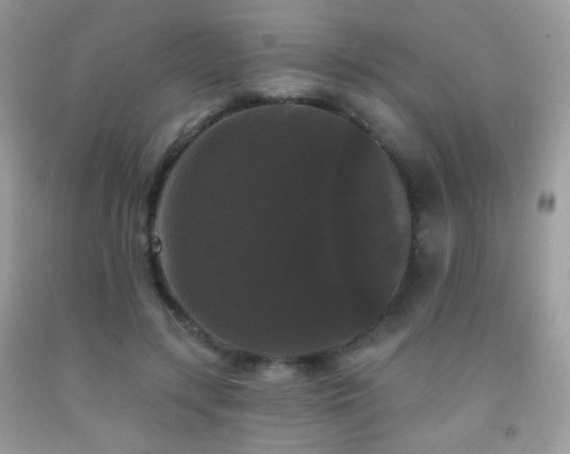 X0000092010547200709061534