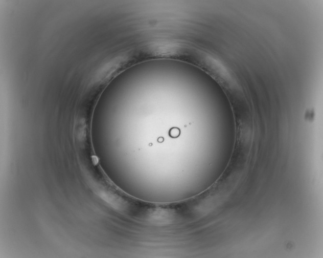 X0000092010549200709061534