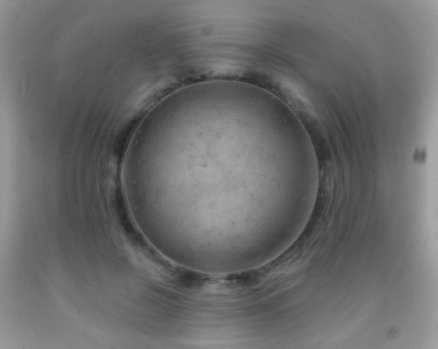 X0000092010550200709061534