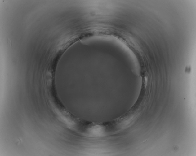 X0000092010551200709061534