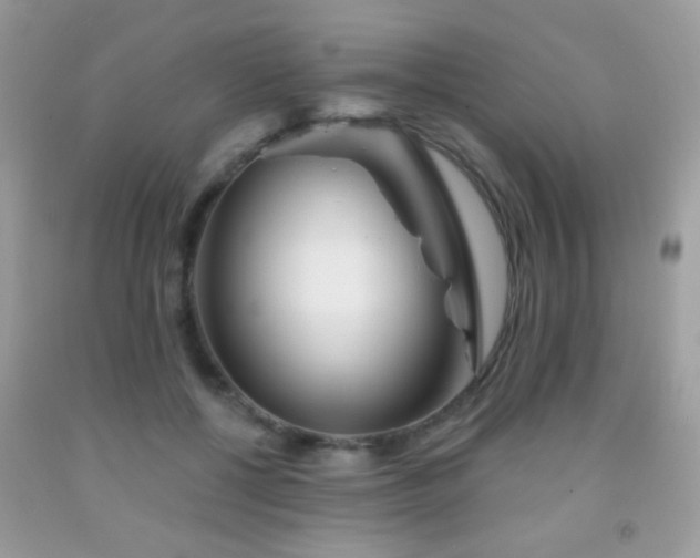 X0000092010552200709061535