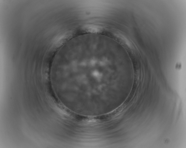 X0000092010553200709061535