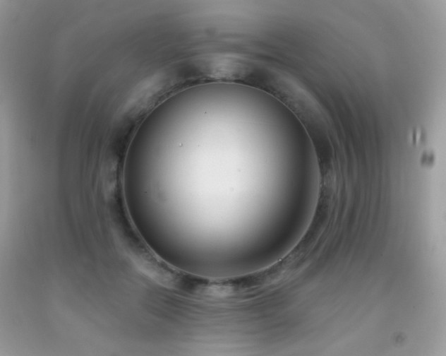 X0000092010554200709061535