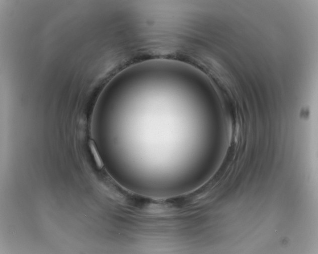 X0000092010556200709061535