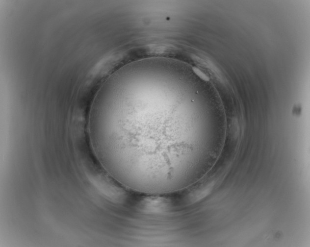 X0000092010557200709061535