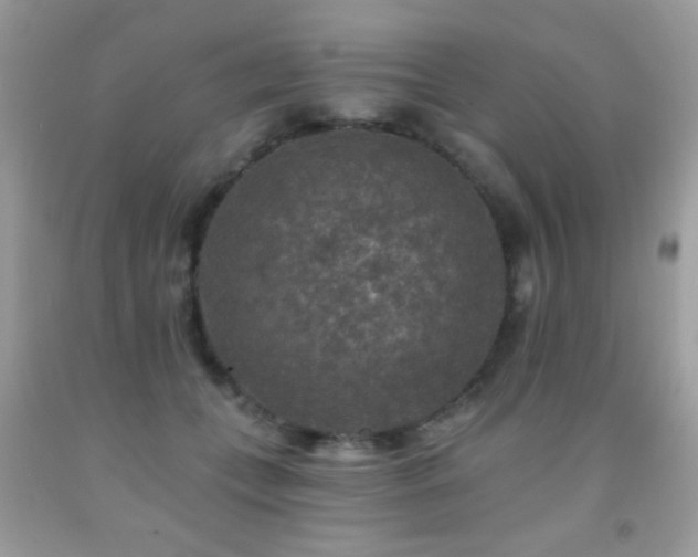 X0000092010559200709061535
