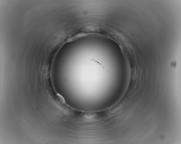 X0000092010560200709061535